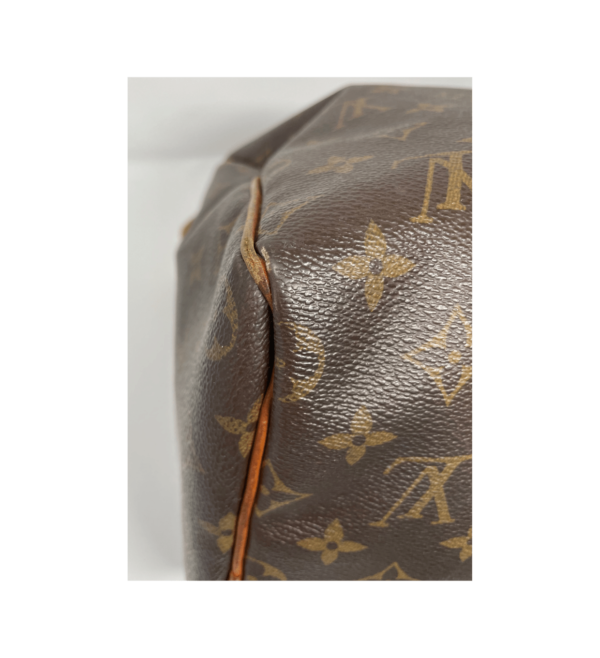 Louis Vuitton Speedy 40 monogram